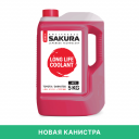 SAKURA-red-5kg-04